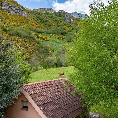 Séjour à la campagne Lorences E Caunedo